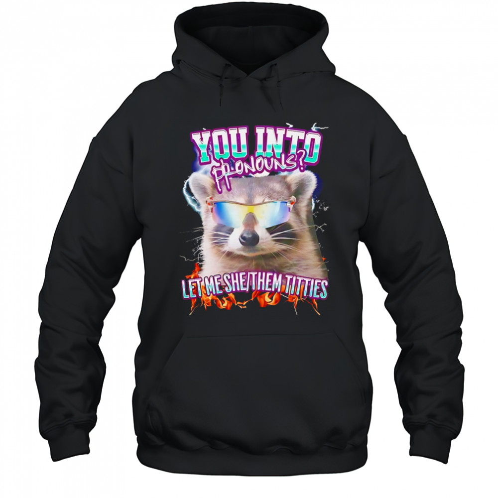 Raccoon you into pronouns let me she them titties shirt Hoodie