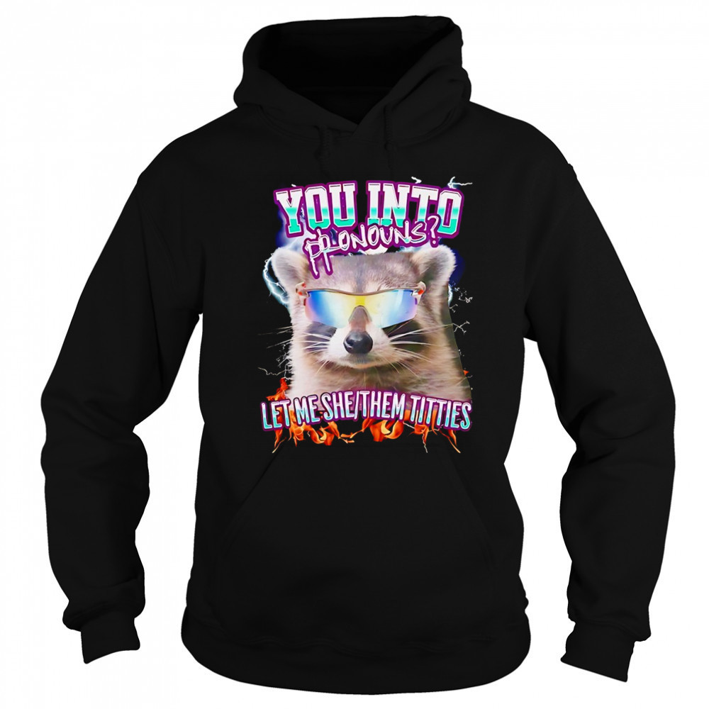 Raccoon you into pronouns let me she them titties shirt Hoodie