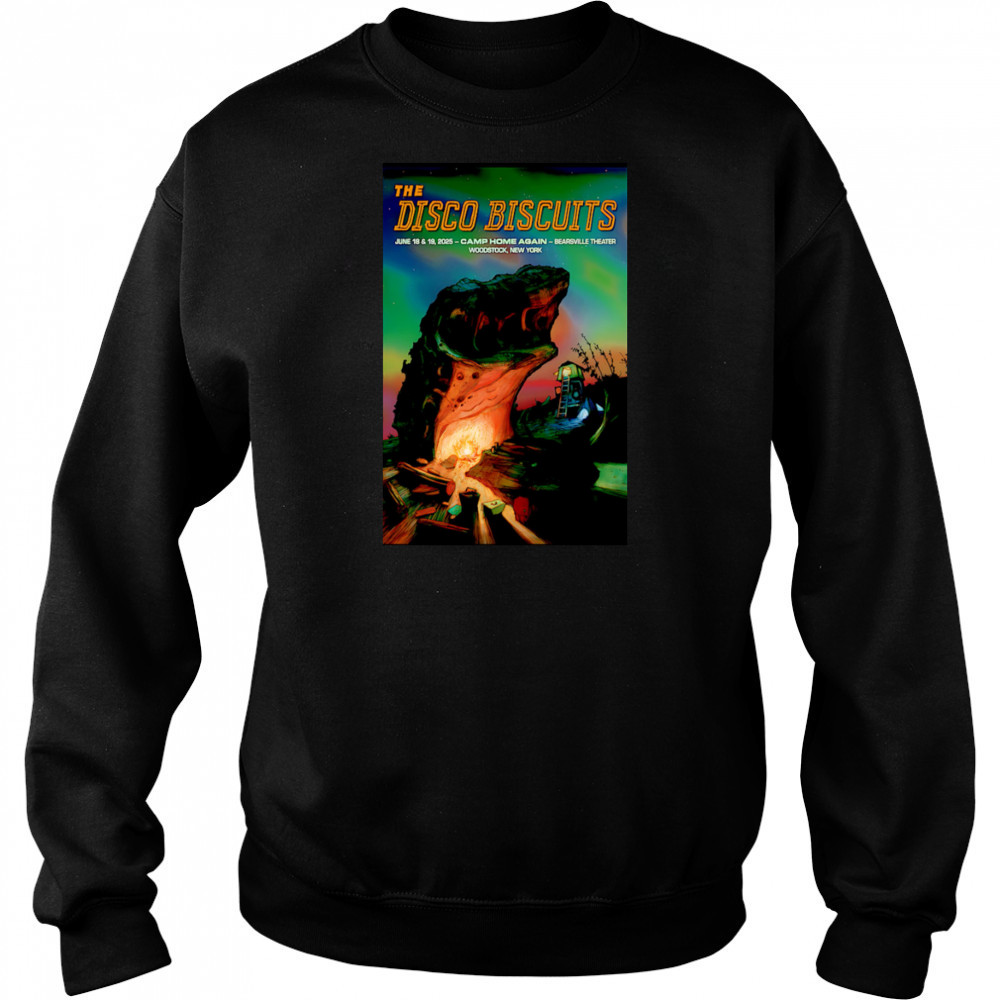 The Disco Biscuits shirt Hoodie