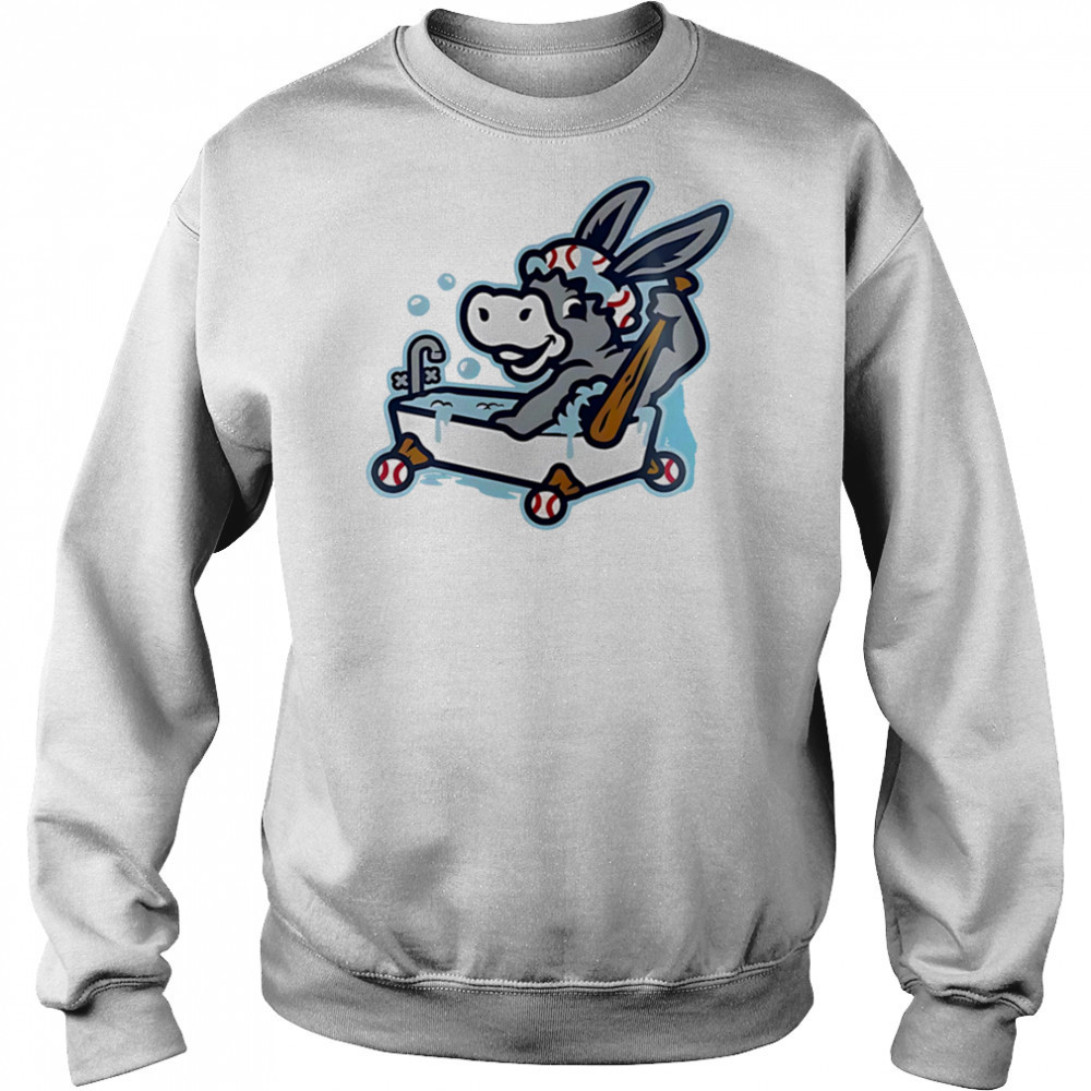 Binghamton Rumble Ponies Bathtub Donkeys shirt Hoodie