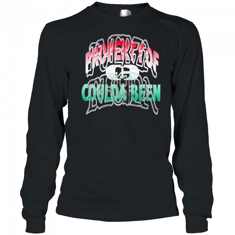 Fuerza Regida x Coulda Been Records 2025 T-Shirt Long Sleeved