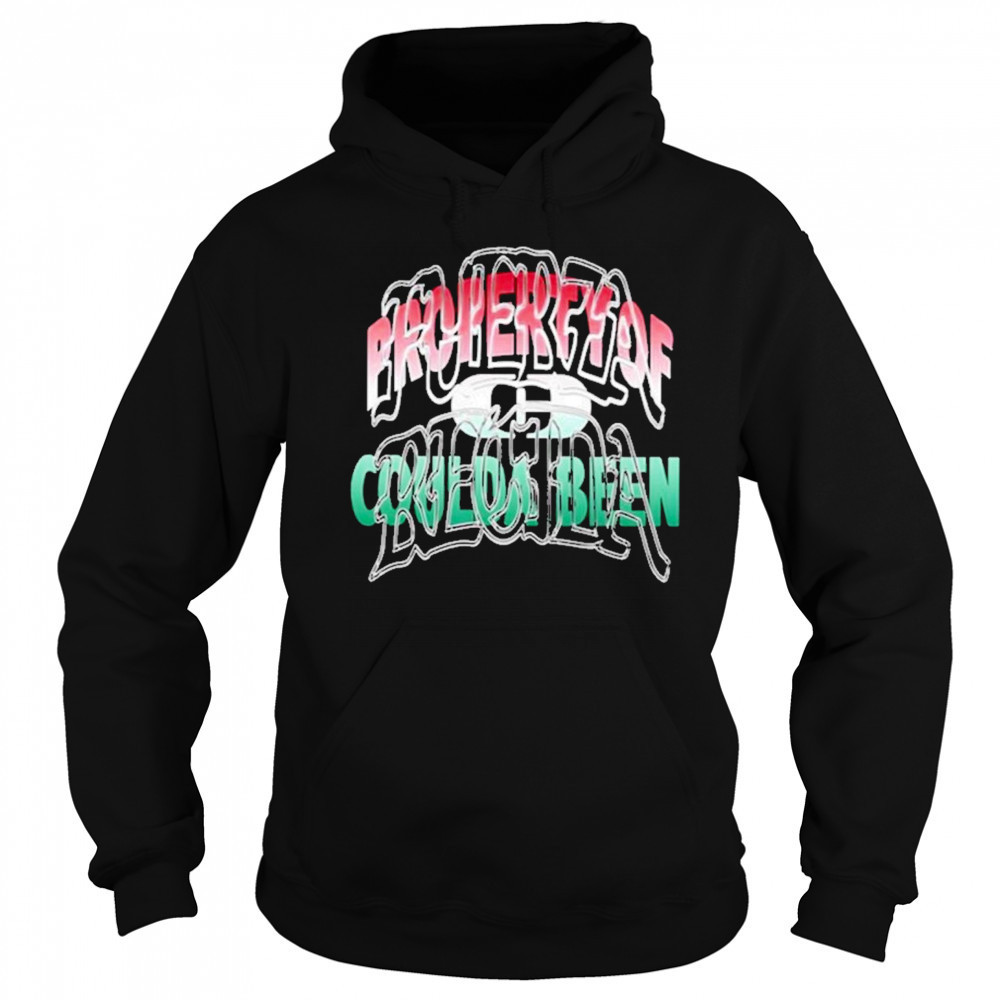 Fuerza Regida x Coulda Been Records 2025 T-Shirt Sweatshirt