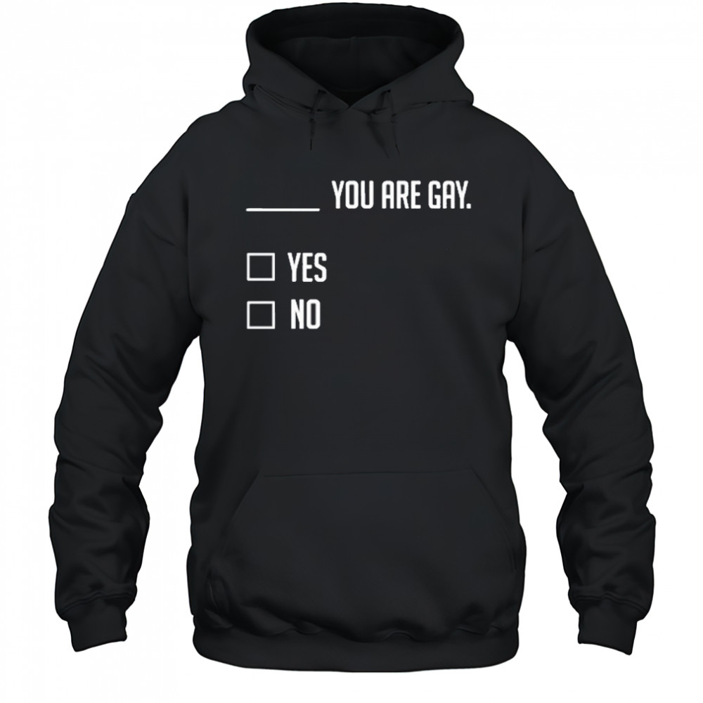 You Are Gay Yes No T-Shirt Hoodie