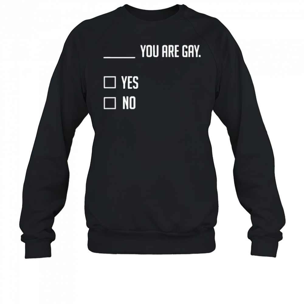 You Are Gay Yes No T-Shirt Sweatshirt