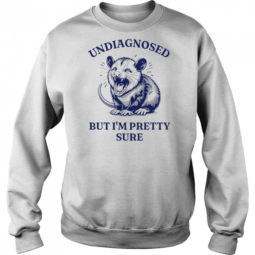 Opossum undiagnosed but I’m pretty sure shirt Hoodie
