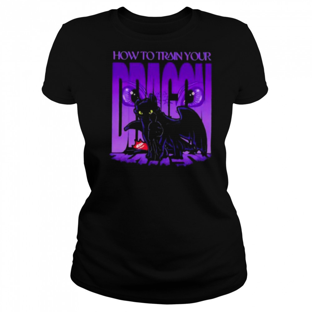 Toothless and Hiccup from How to Train Your Dragon shirt Women's T-shirt