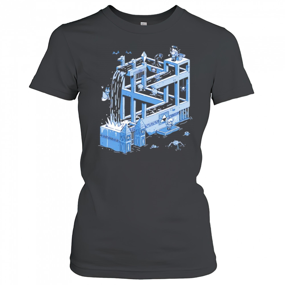 Water Temple Woes shirt Women's T-shirt