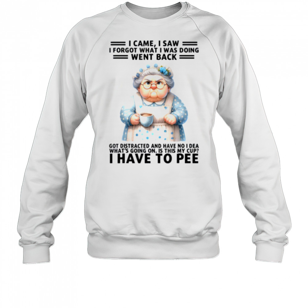 I Came I Saw I’m Forgot What I Was Doing Went Back Got T Shirt Sweatshirt