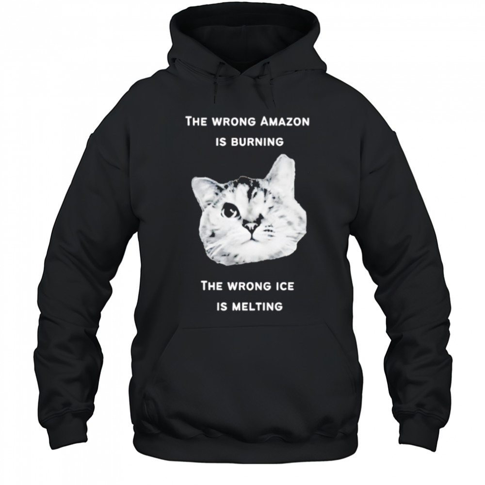 The Wrong Amazon Is Burning The Wrong Ice Is Melting Head Cat shirt Hoodie