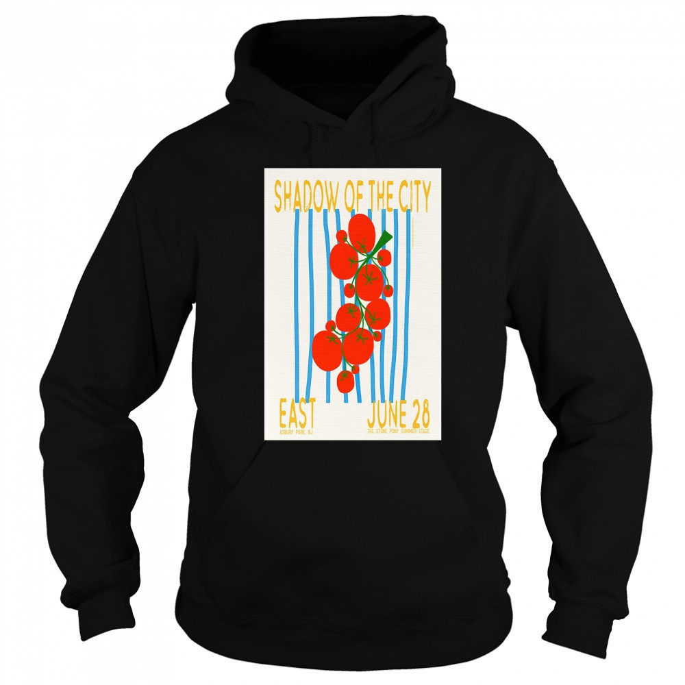 Bleachers Stone Pony Summer Stage June 28 2025 Poster T-Shirt Sweatshirt
