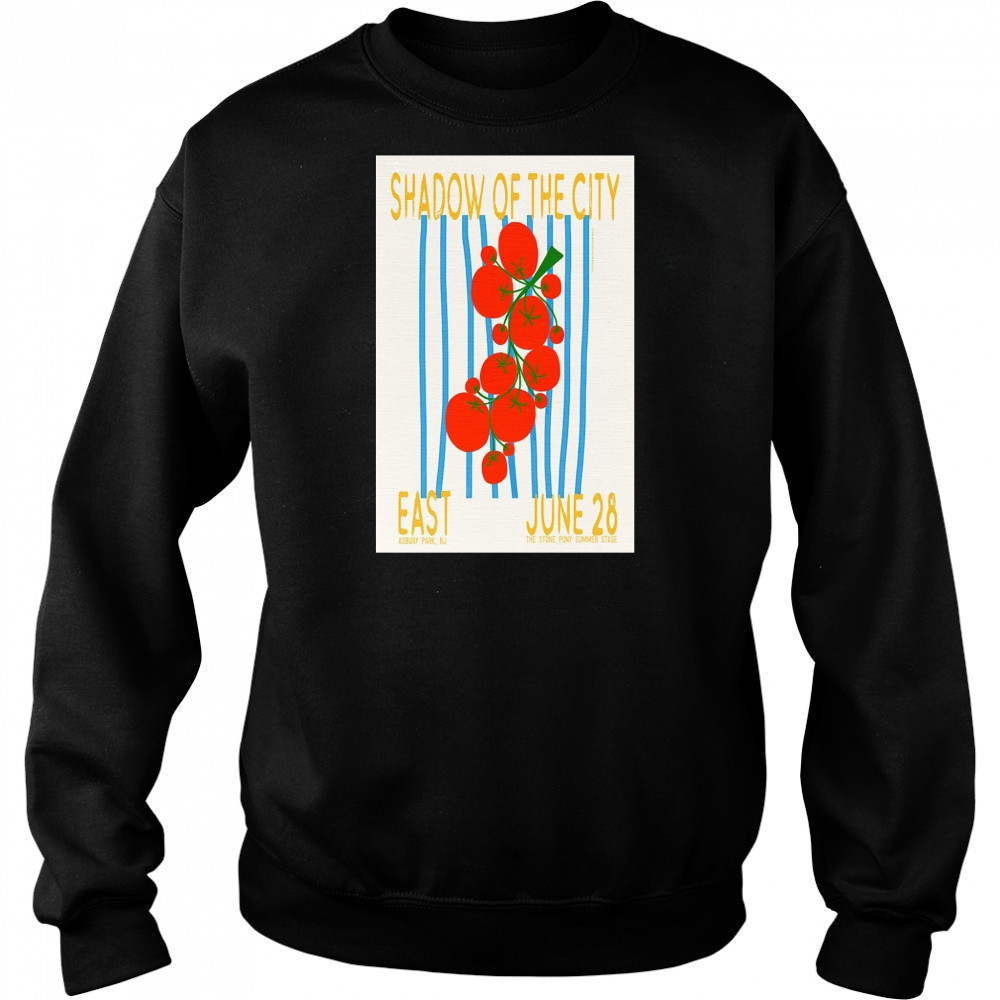 Bleachers Stone Pony Summer Stage June 28 2025 Poster T-Shirt Hoodie