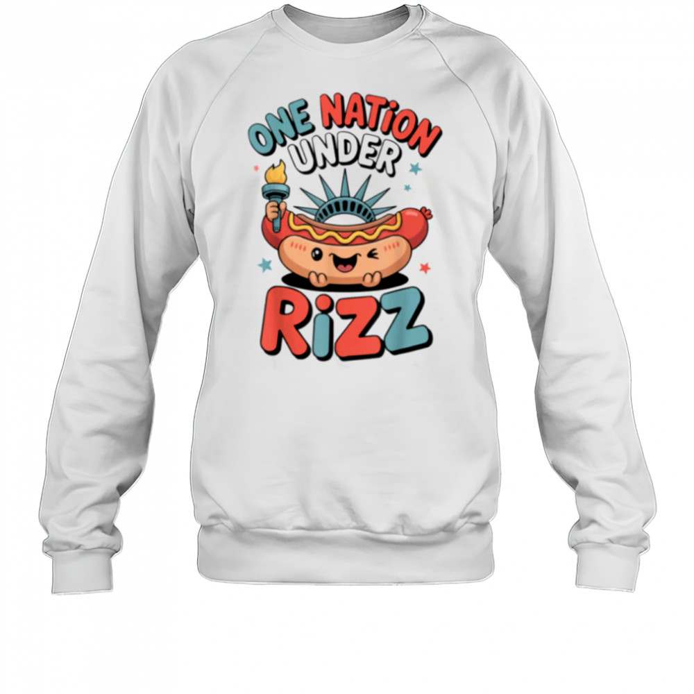 Land of the Rizz Funny Patriotic Day 4th Of July USA Flag T Shirt Sweatshirt