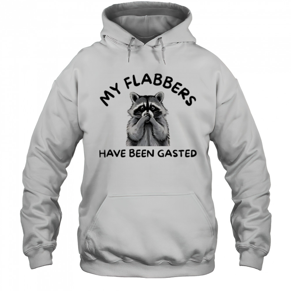My Flabbers Have Been Gasted Raccoon shirt Hoodie