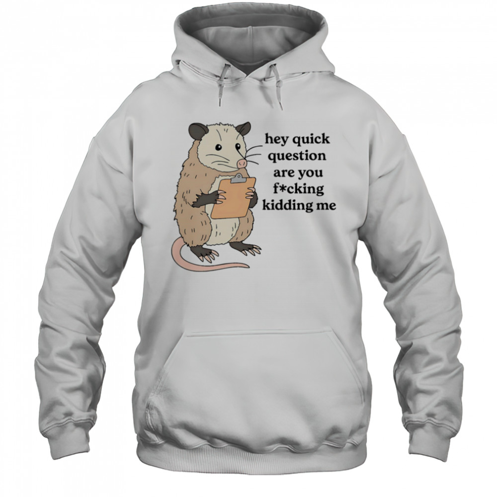 Opossum hey quick question are you fucking kidding me shirt Hoodie