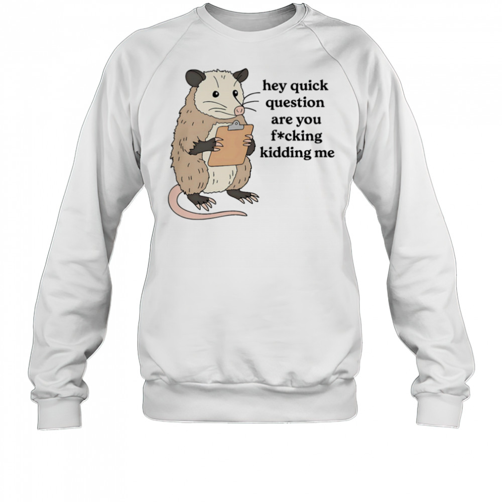 Opossum hey quick question are you fucking kidding me shirt Sweatshirt