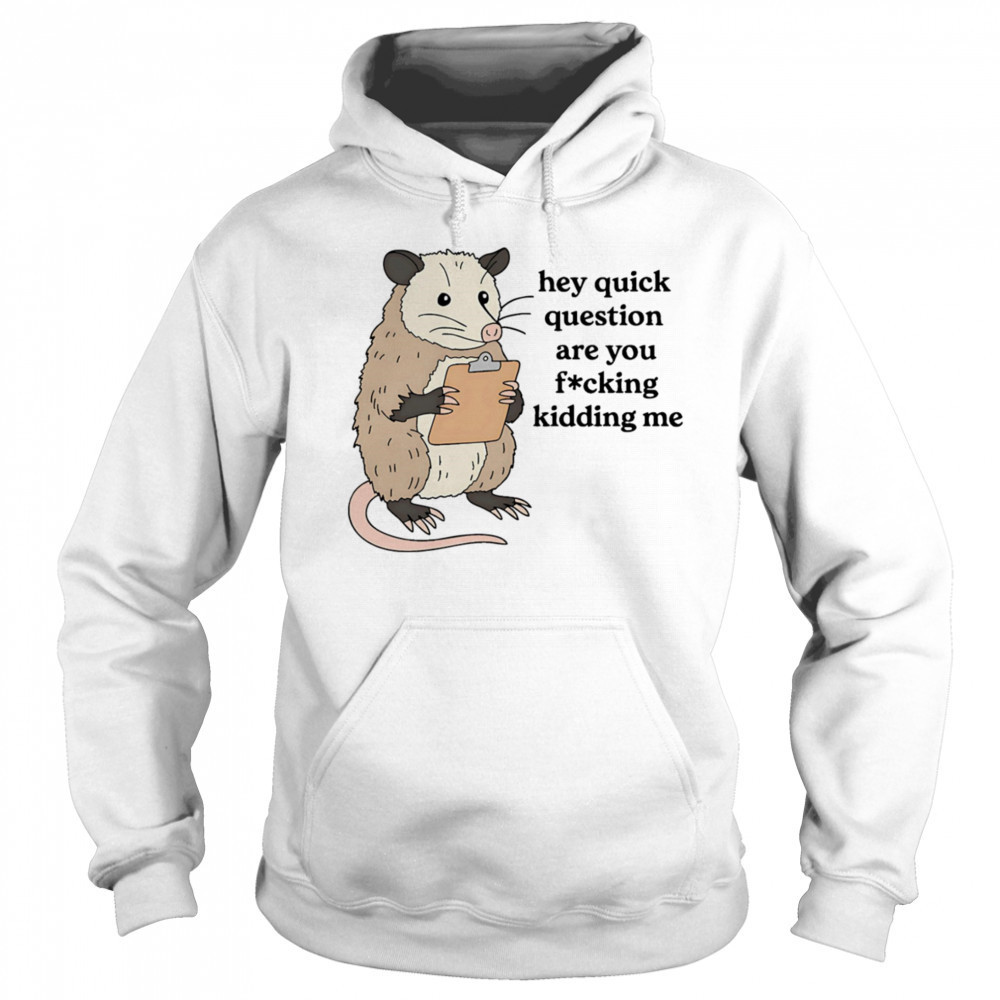 Opossum hey quick question are you fucking kidding me shirt Sweatshirt