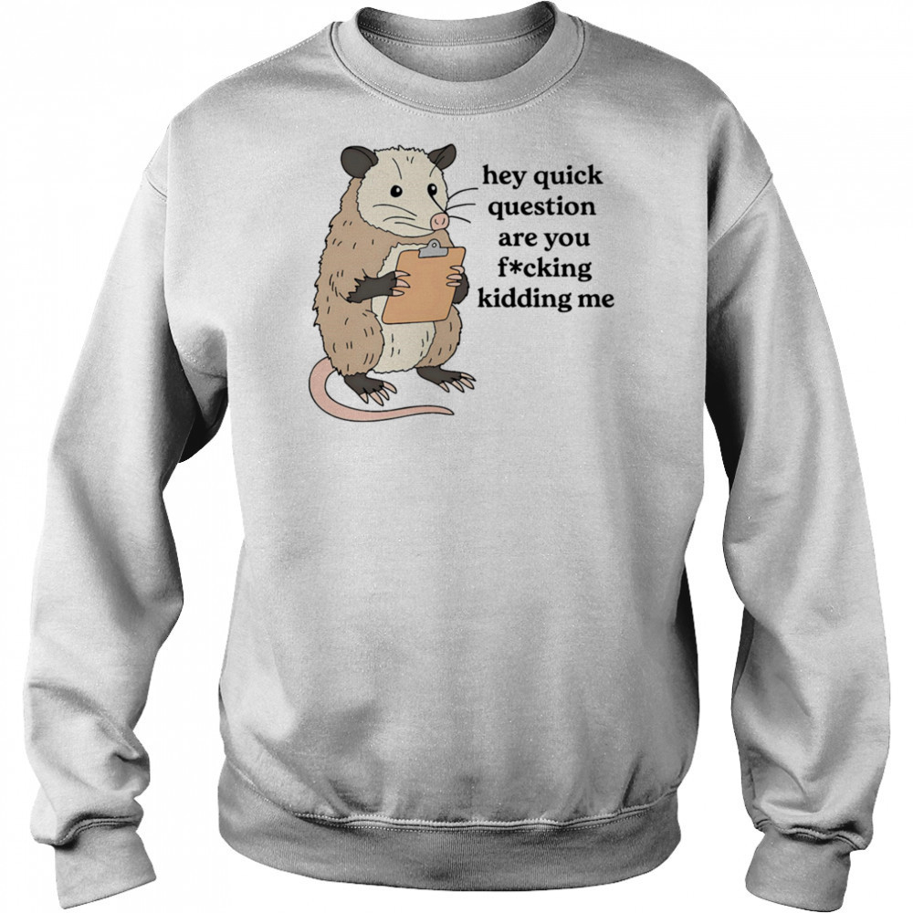 Opossum hey quick question are you fucking kidding me shirt Hoodie