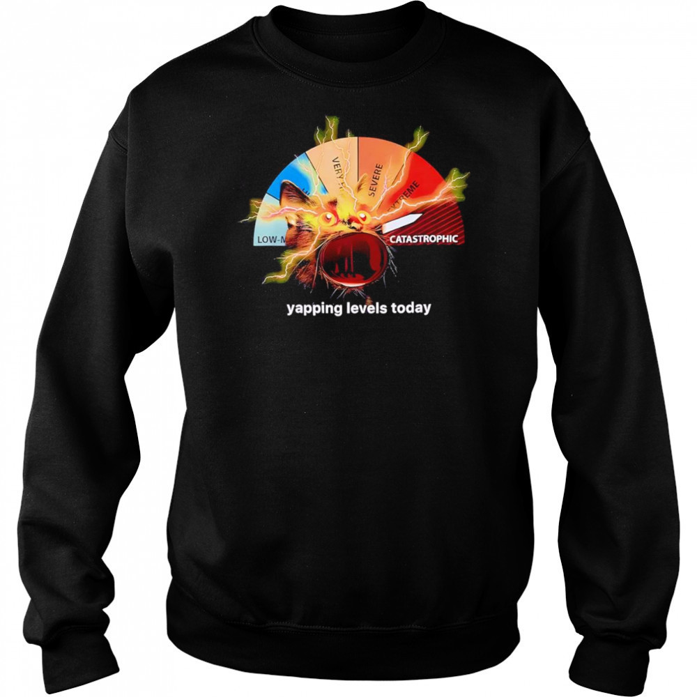 Yapping levels cat shirt Hoodie