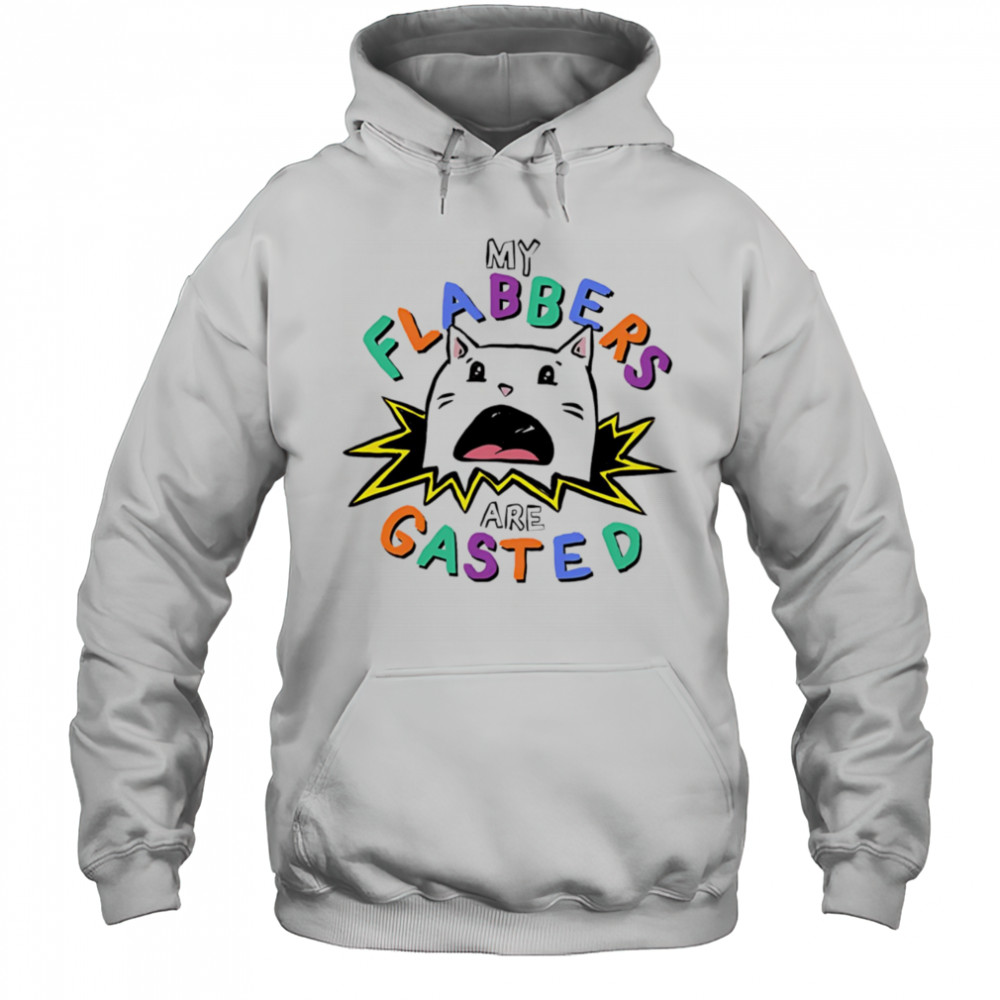 My flabbers are gasted cat shirt Hoodie
