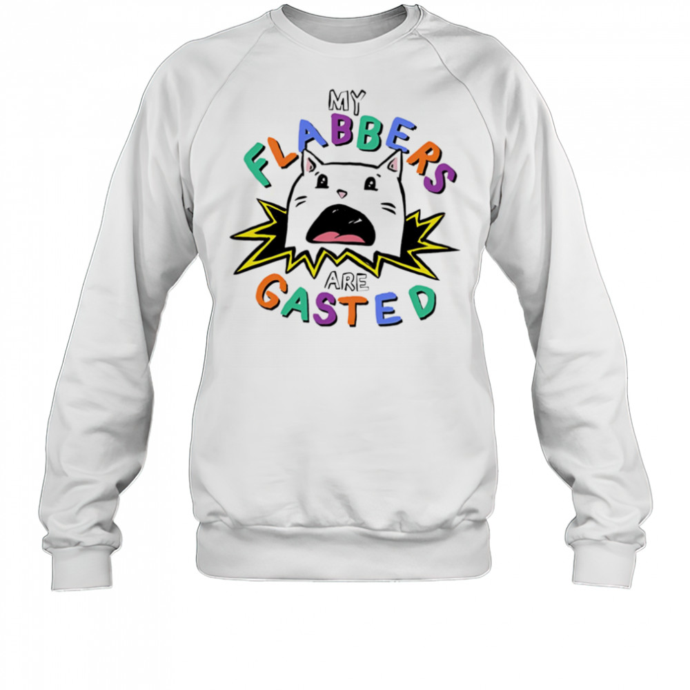 My flabbers are gasted cat shirt Sweatshirt