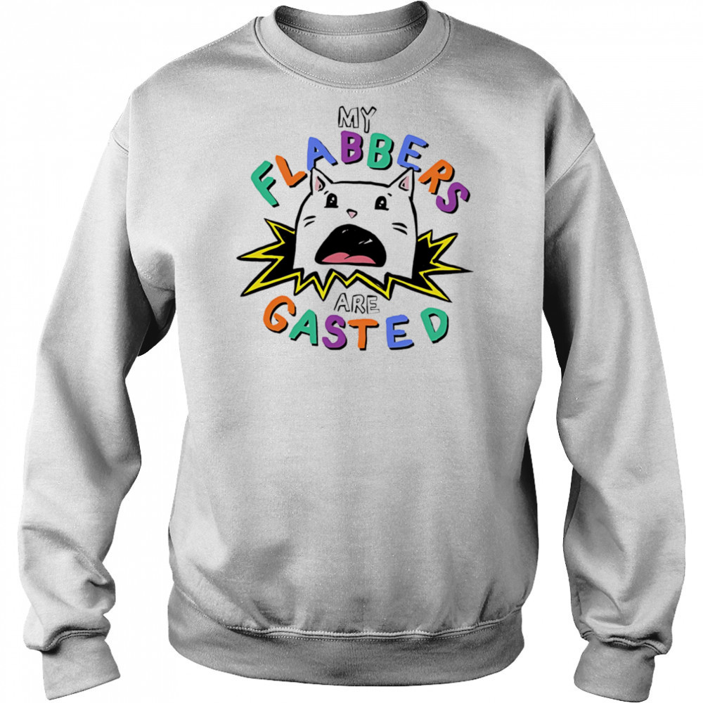 My flabbers are gasted cat shirt Hoodie