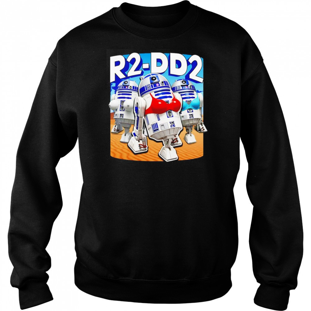 R20-DD2 bra funny shirt Hoodie