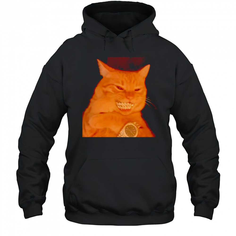 Bust Down cat shirt Hoodie