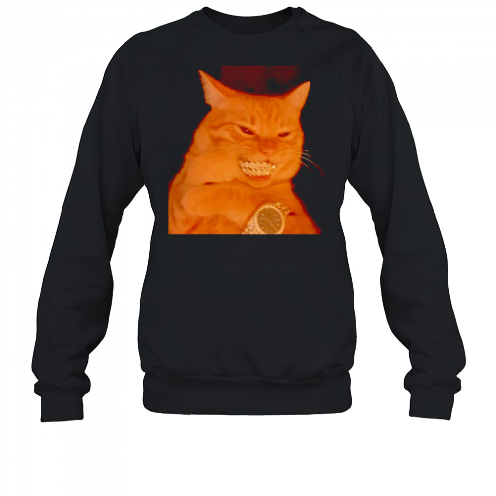 Bust Down cat shirt Sweatshirt