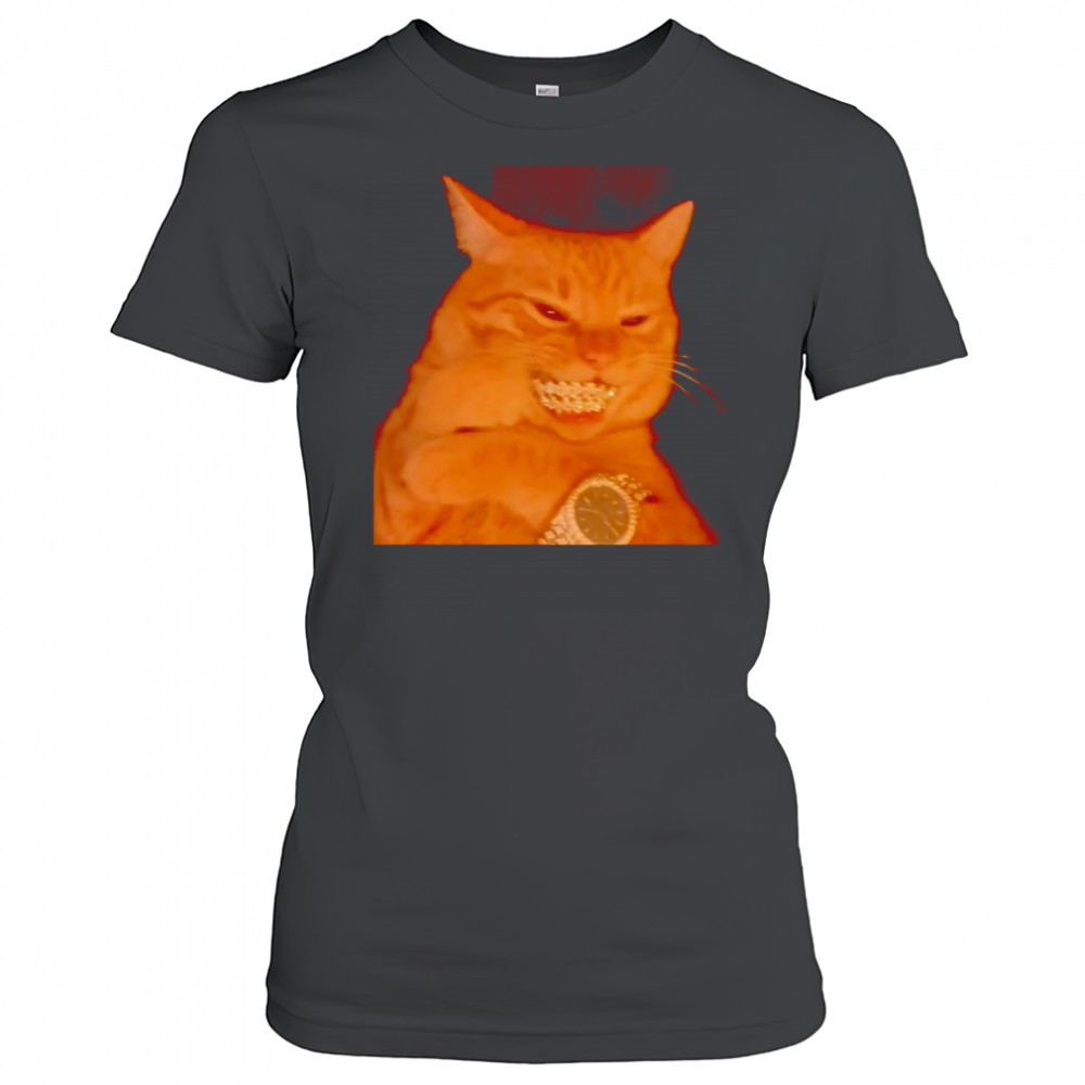 Bust Down cat shirt Women's T-shirt
