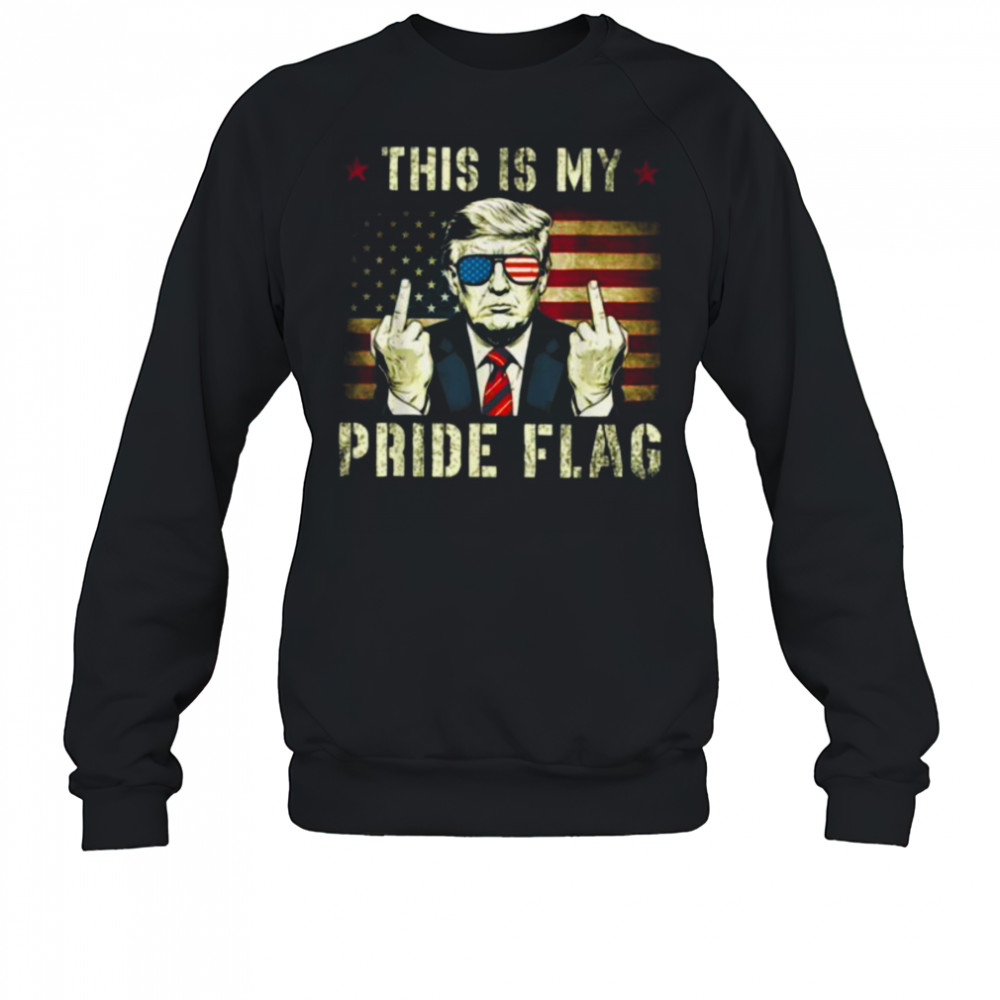 This Is My Pride Flag USA American Patriotic T Shirt Sweatshirt
