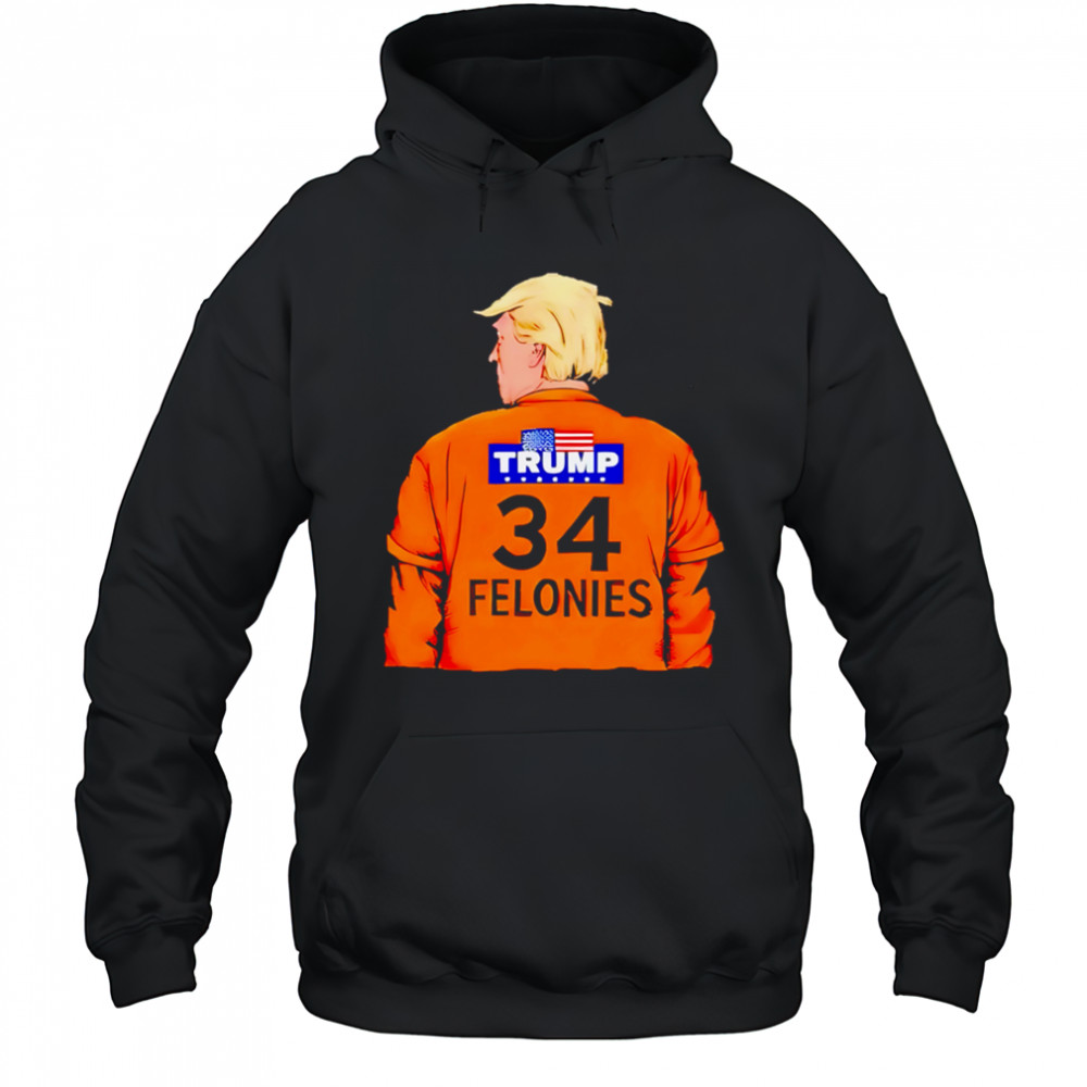Trump 34 Felonies shirt Hoodie