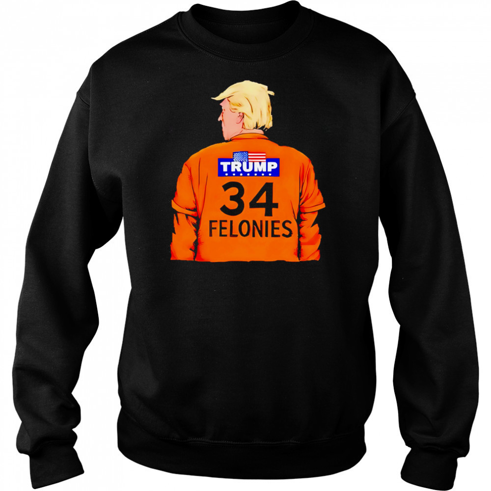 Trump 34 Felonies shirt Hoodie