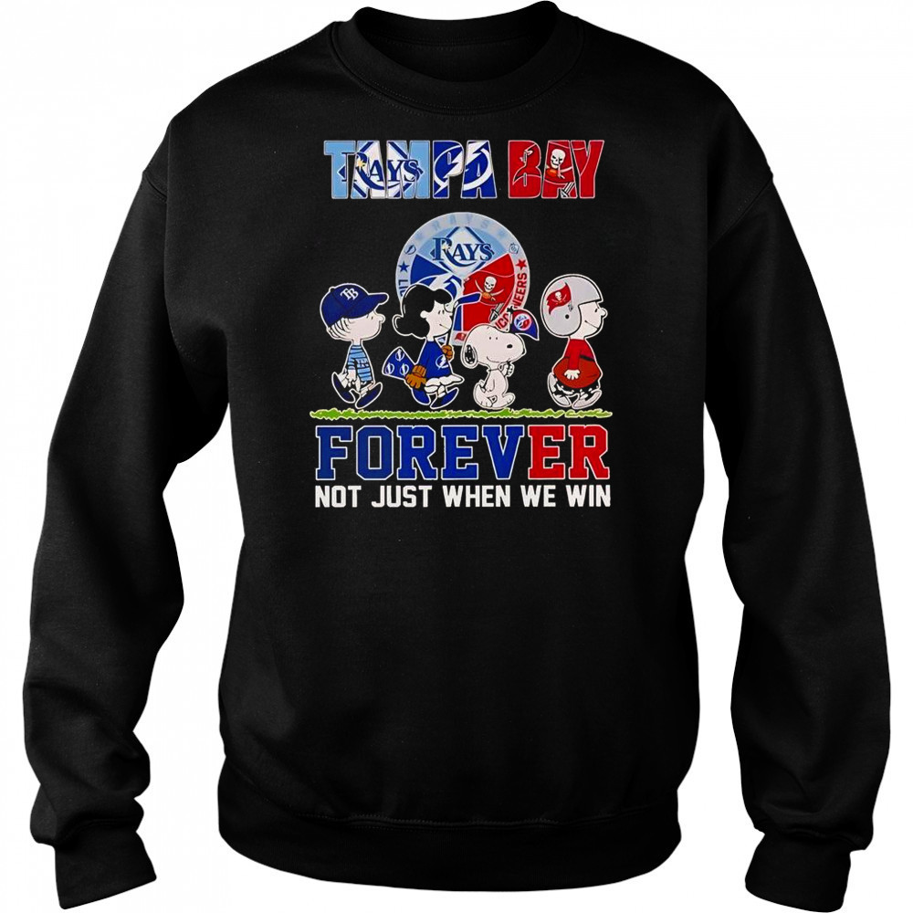 Tampa Bay Rays X Tampa Bay Lightning X Tampa Bay Buccaneers T-Shirt Hoodie