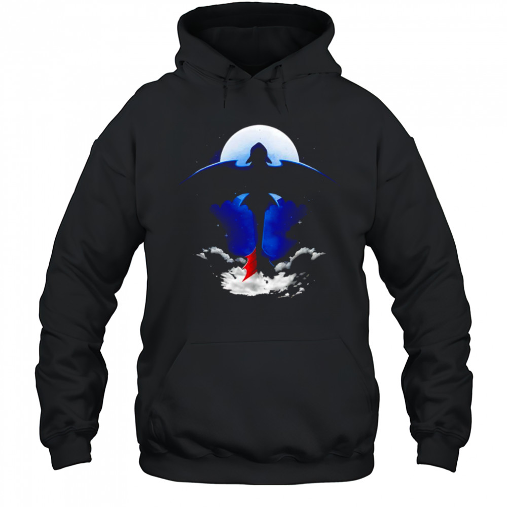 Fury sky Night Fury Toothless shirt Hoodie