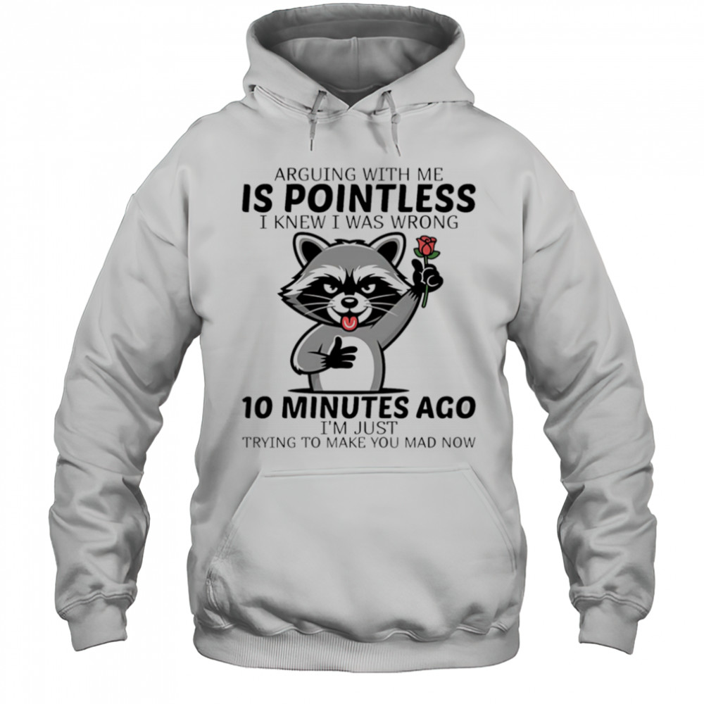 Raccoon arguing with me is pointless I knew I was wrong 10 minutes ago shirt Hoodie