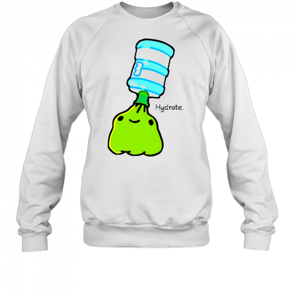 Frog Hydrate Drink today shirt Sweatshirt