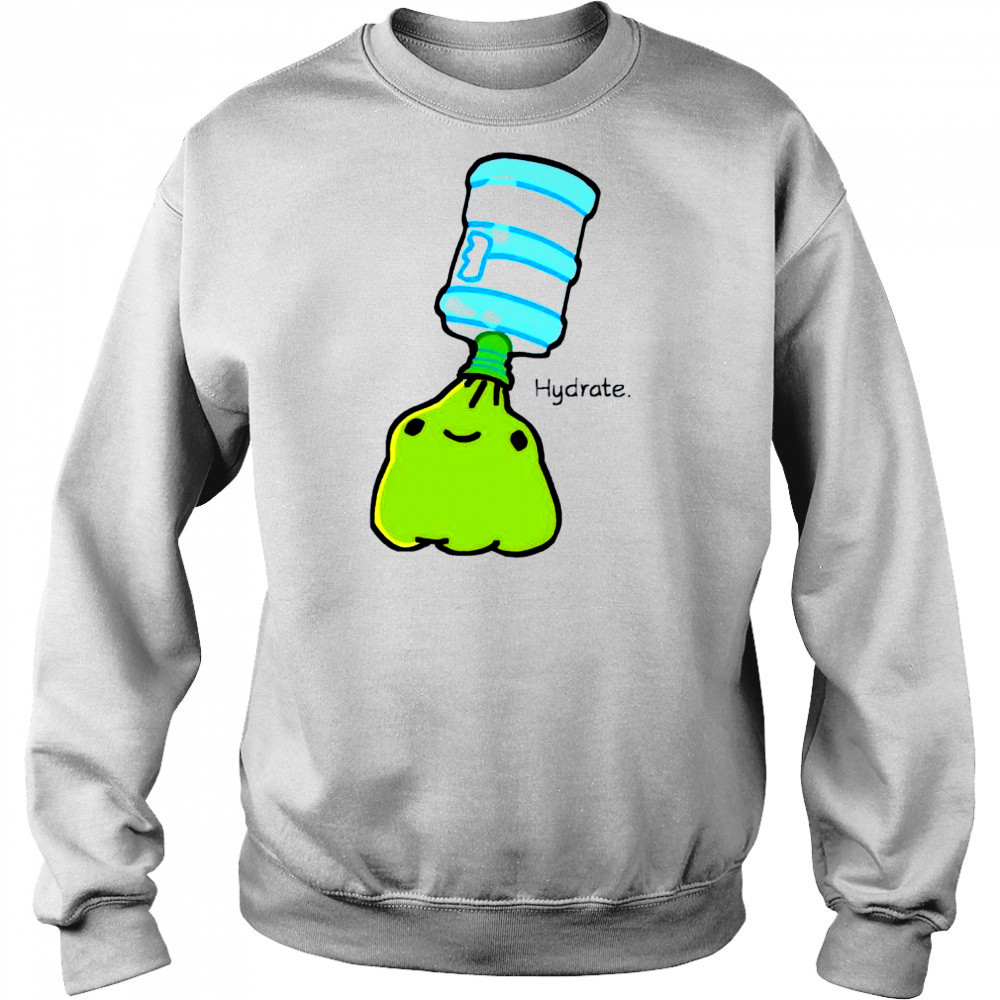 Frog Hydrate Drink today shirt Hoodie