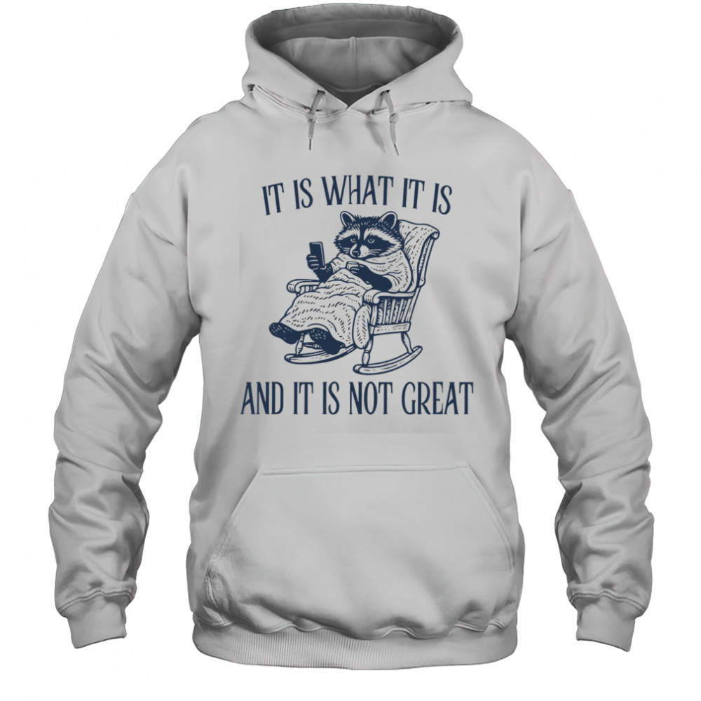 Raccoon it is what it is and it is not great shirt Hoodie