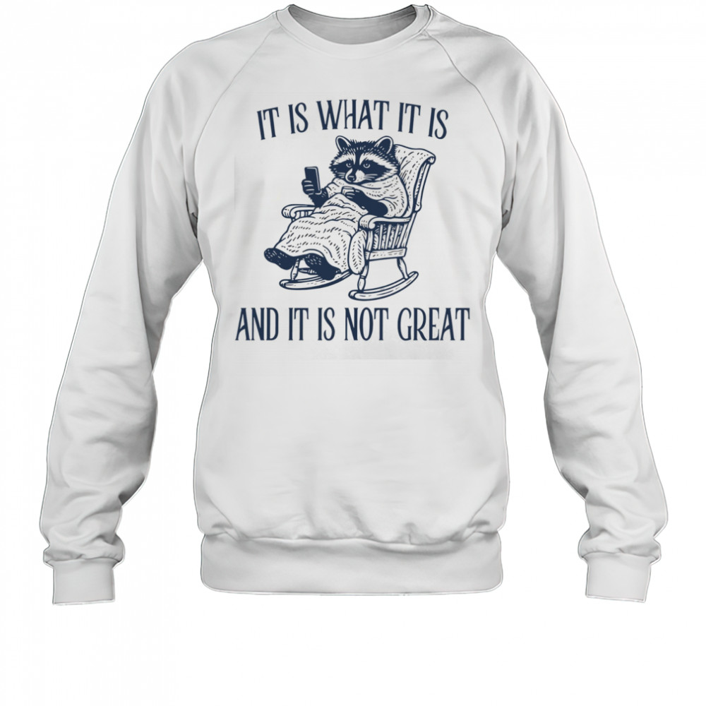 Raccoon it is what it is and it is not great shirt Sweatshirt