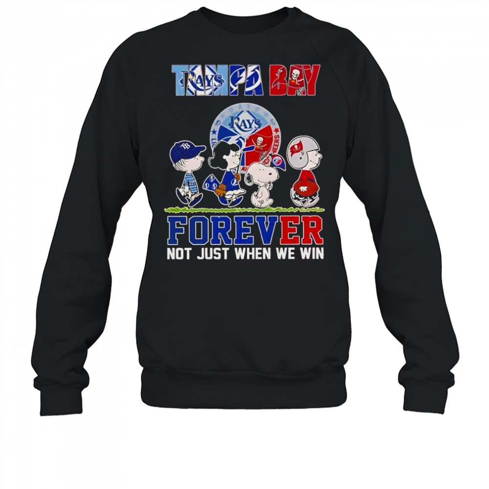 Tampa Bay Rays X Tampa Bay Lightning X Tampa Bay Buccaneers T-Shirt Sweatshirt