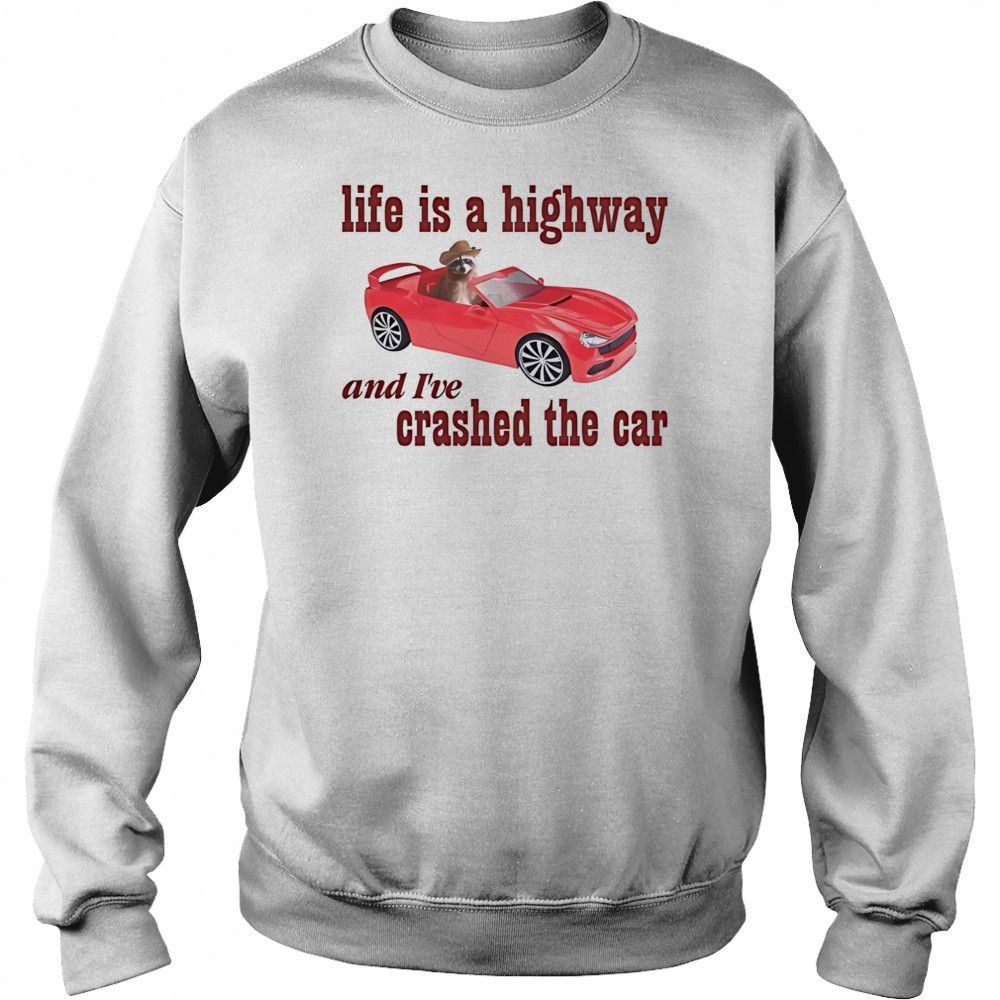 Raccoon life is a highway and I’ve crashed the car shirt Hoodie