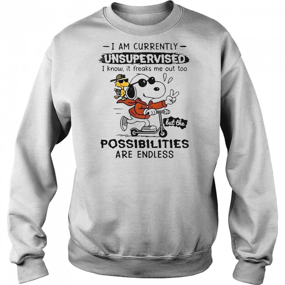 Snoopy Woodstock I Am Currently Unsupervised I Know It Freaks Me Out Too T-Shirt Hoodie