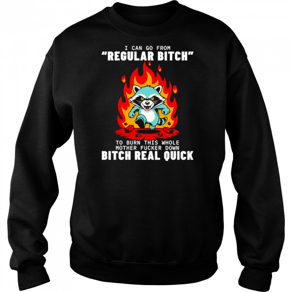 Raccoon I can go from regular bitch to burn this whole mother fucker down bitch real quick shirt Hoodie