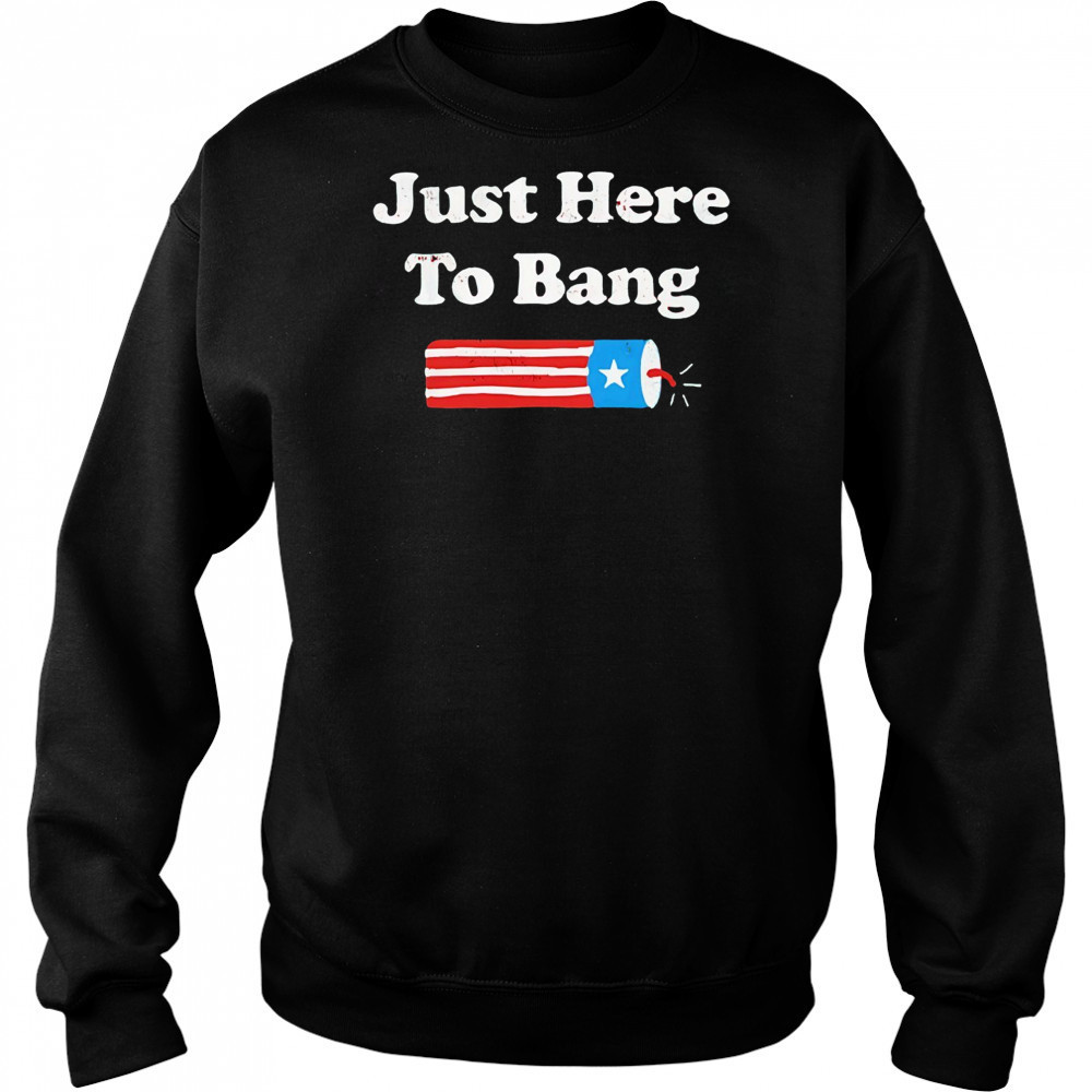 Rex Ryan just here to bang shirt Hoodie