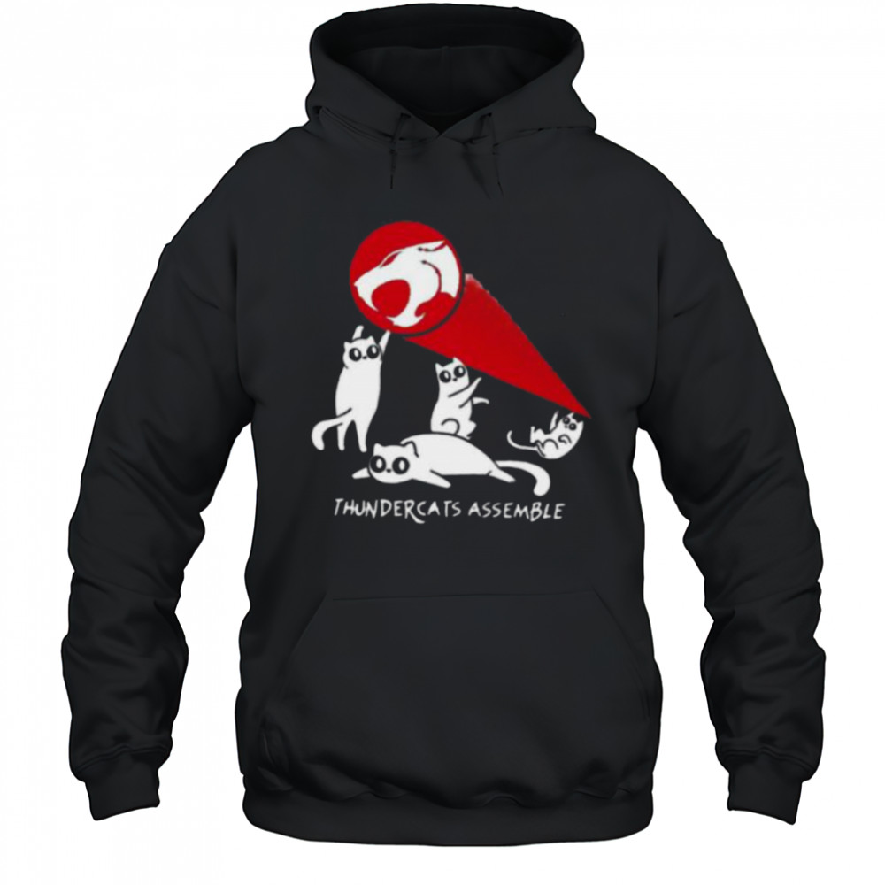 Thundercats assemble shirt Hoodie