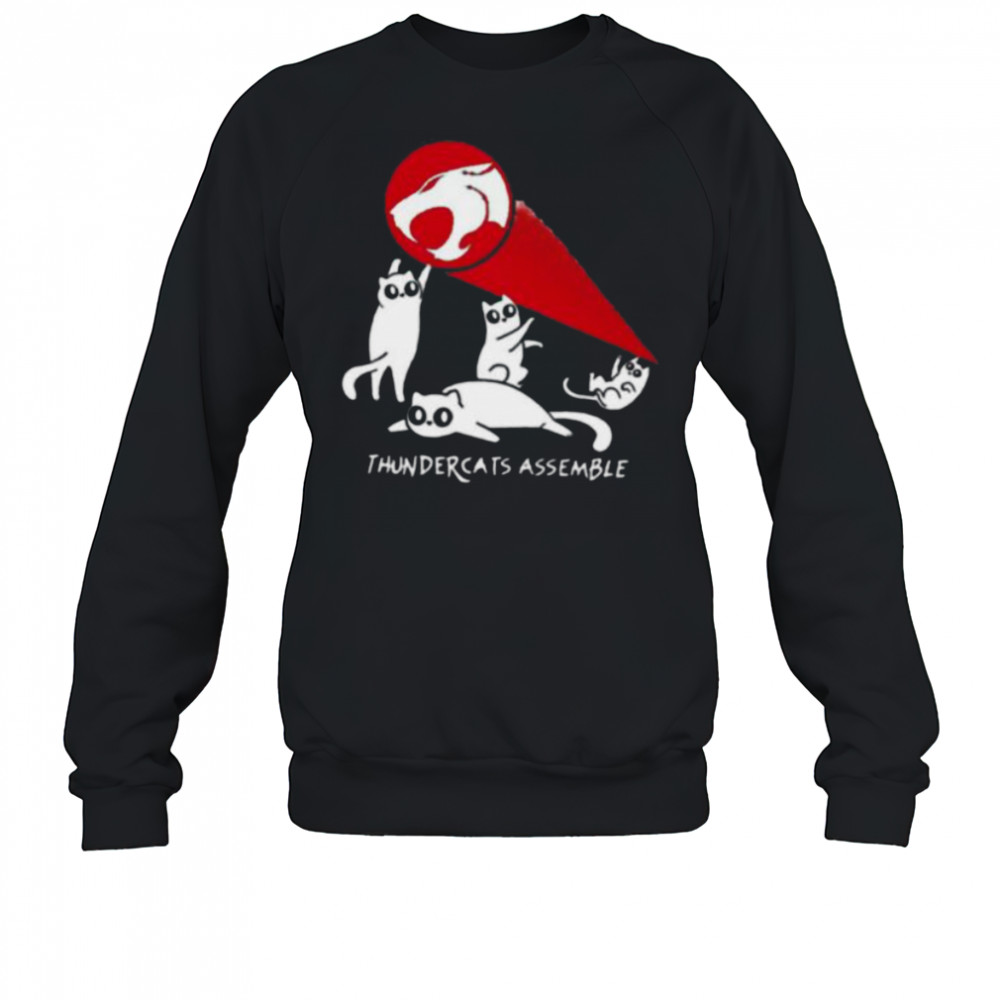 Thundercats assemble shirt Sweatshirt