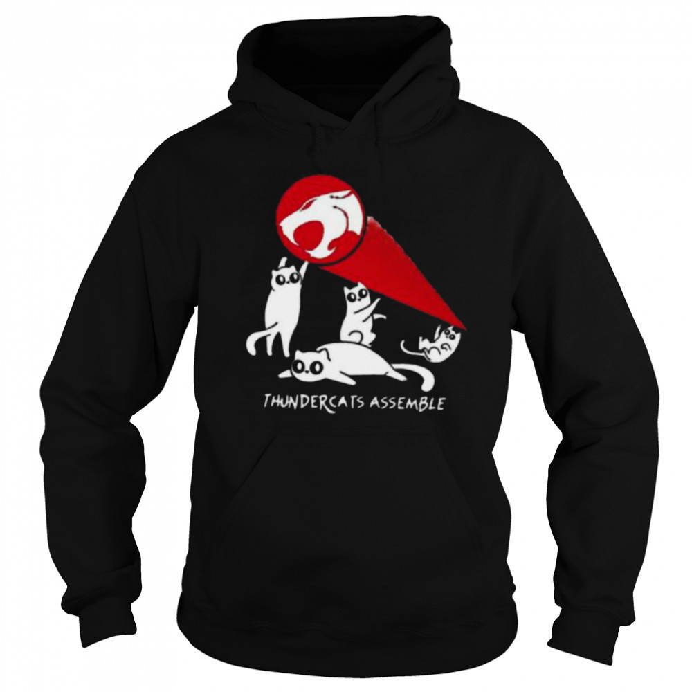 Thundercats assemble shirt Sweatshirt