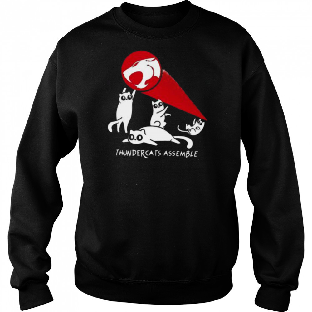 Thundercats assemble shirt Hoodie