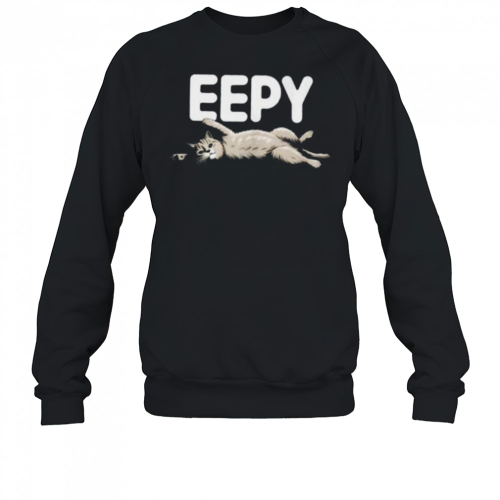 Sleepy Cat EEPY Kitten Funny Animal Lover Shirt Sweatshirt