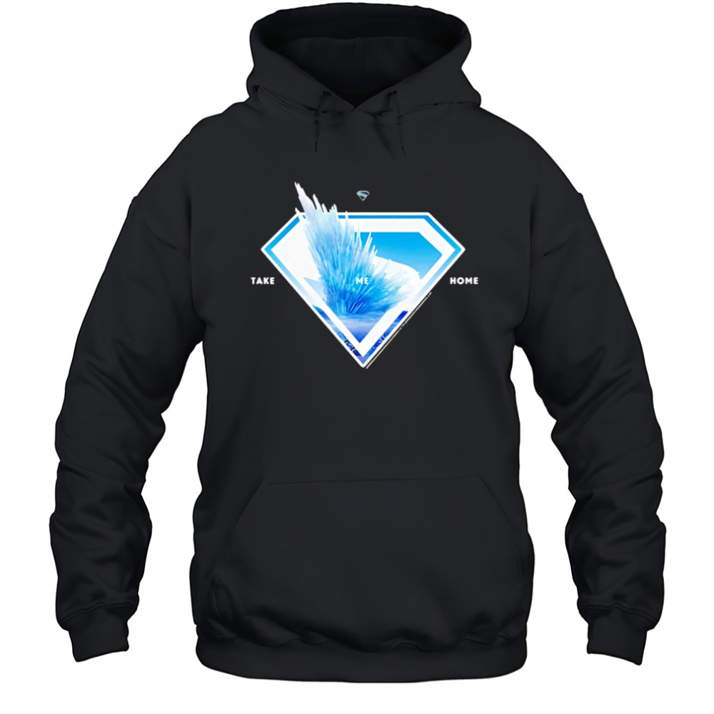 Superman logo svalbard take me home 2025 shirt Hoodie